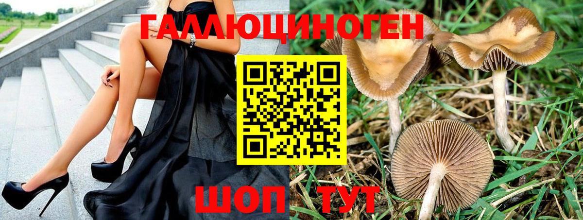 Галлюциногенные грибы ЛСД  Галлюциногенные грибы ЛСД  Новотроицк  Вход с VPN 