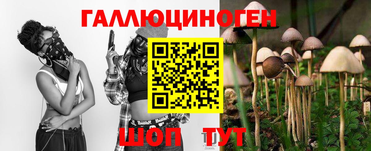 Галлюциногенные грибы Psilocybine cubensis Новотроицк
